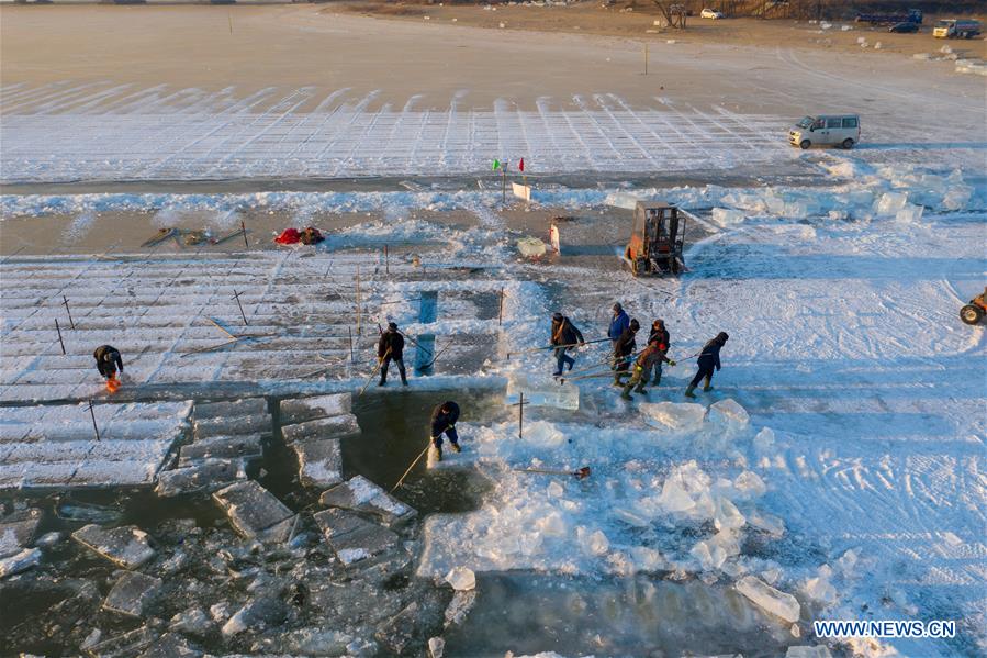 #CHINA-HARBIN-ICE COLLECTING (CN)