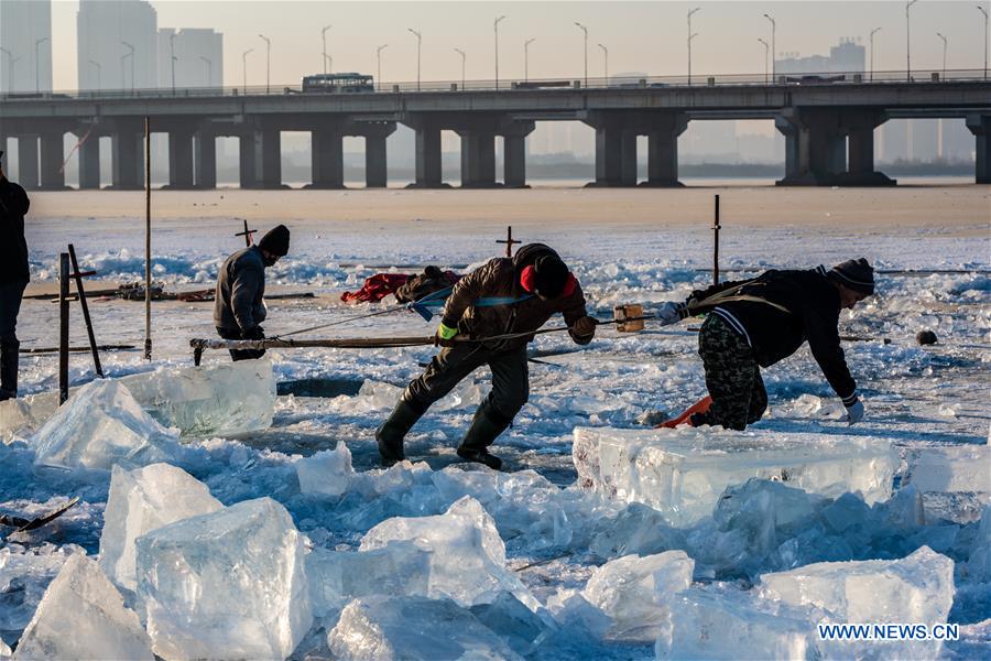 #CHINA-HARBIN-ICE COLLECTING (CN)