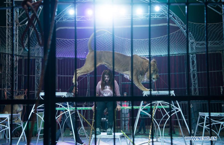 EGYPT-CAIRO-CIRCUS-EGYPTIAN FEMALE LION TAMER