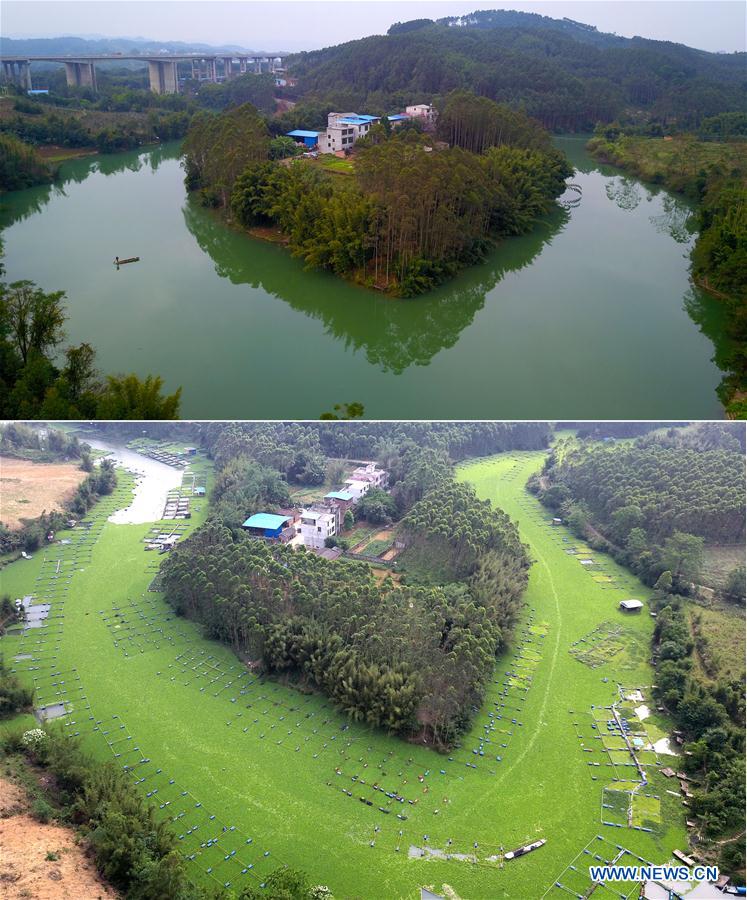 #CHINA-GUANGXI-LIUZHOU-WATER ENVIRONMENT (CN)