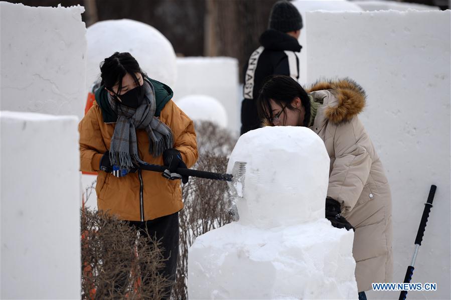 CHINA-HEILONGJIANG-HARBIN-SNOW AND ICE (CN)