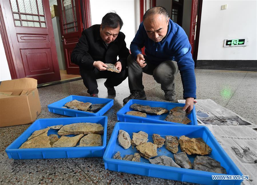 CHINA-NANJING-WORLD'S EARLIEST FOSSIL FLOWERS-RESEARCH ACHIEVEMENTS RELEASE (CN) 