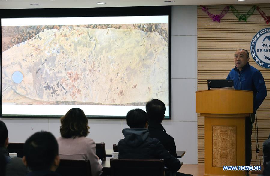 CHINA-NANJING-WORLD'S EARLIEST FOSSIL FLOWERS-RESEARCH ACHIEVEMENTS RELEASE (CN)