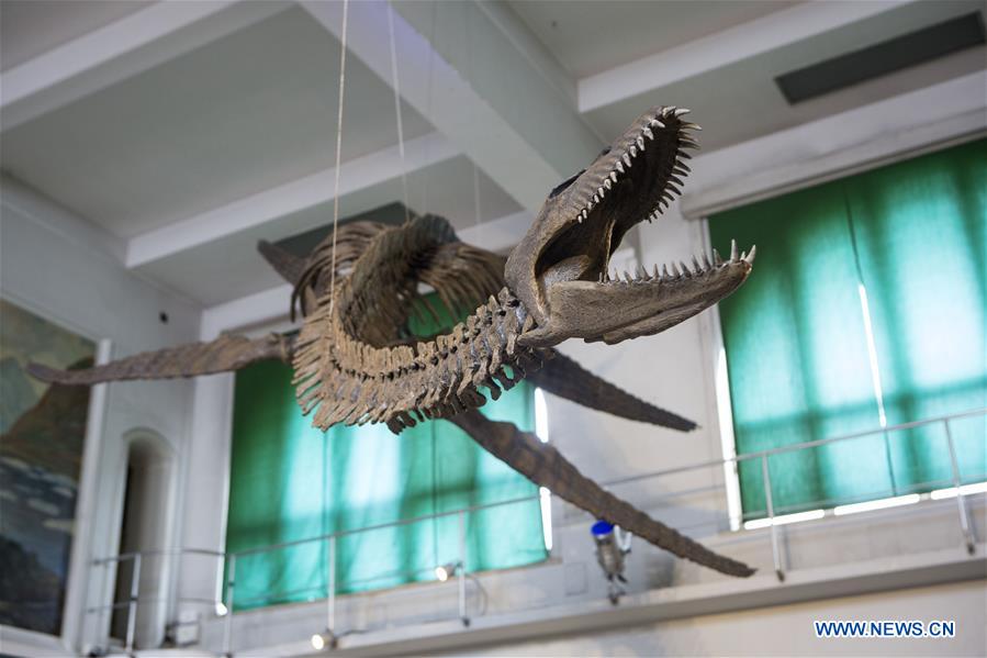 ARGENTINA-BUENOS AIRES-DINOSAUR REPLICA-DISPLAY