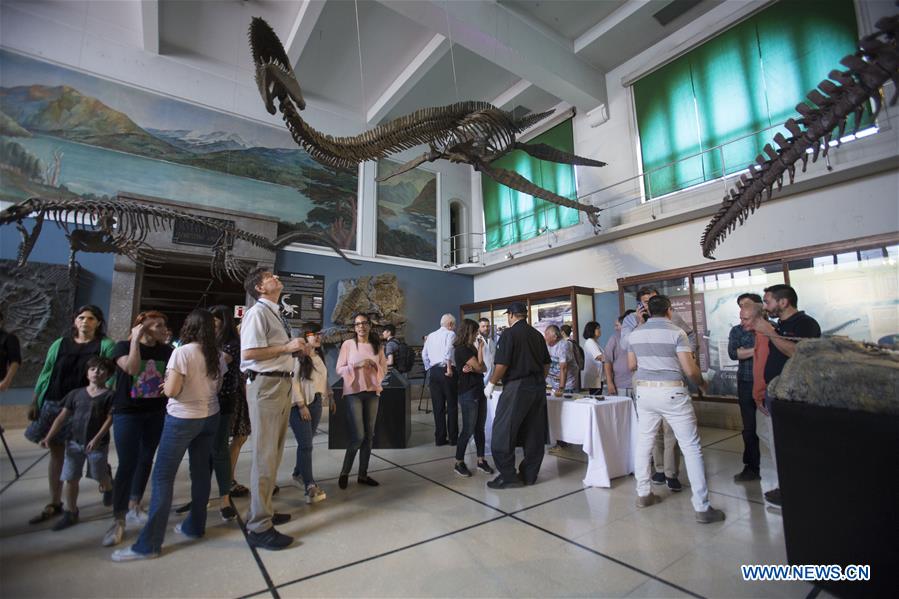 ARGENTINA-BUENOS AIRES-DINOSAUR REPLICA-DISPLAY