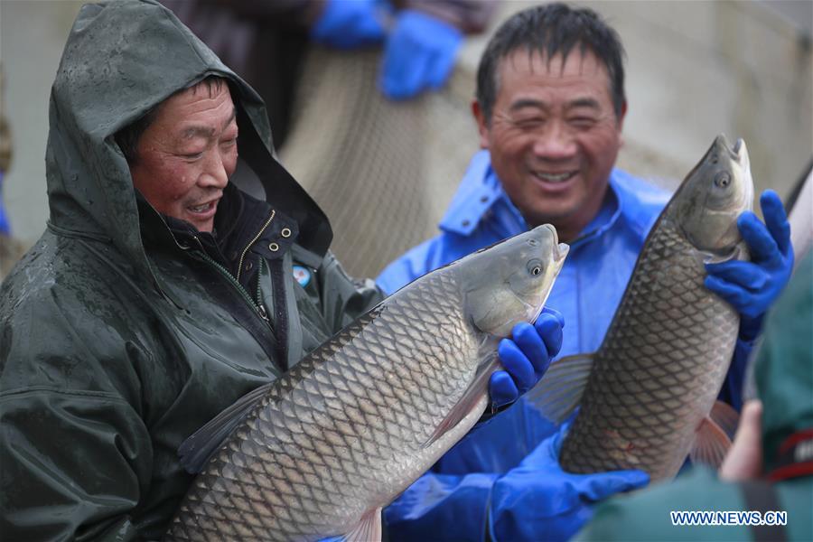 #CHINA-JIANGSU-XUYI-WINTER FISHING (CN)