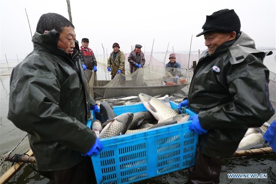 #CHINA-JIANGSU-XUYI-WINTER FISHING (CN)