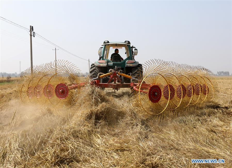 CHINA-AGRICULTURE-MECHANIZATION RATE (CN)