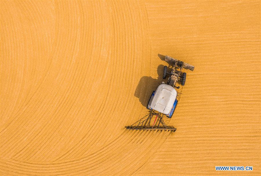 CHINA-AGRICULTURE-MECHANIZATION RATE (CN)