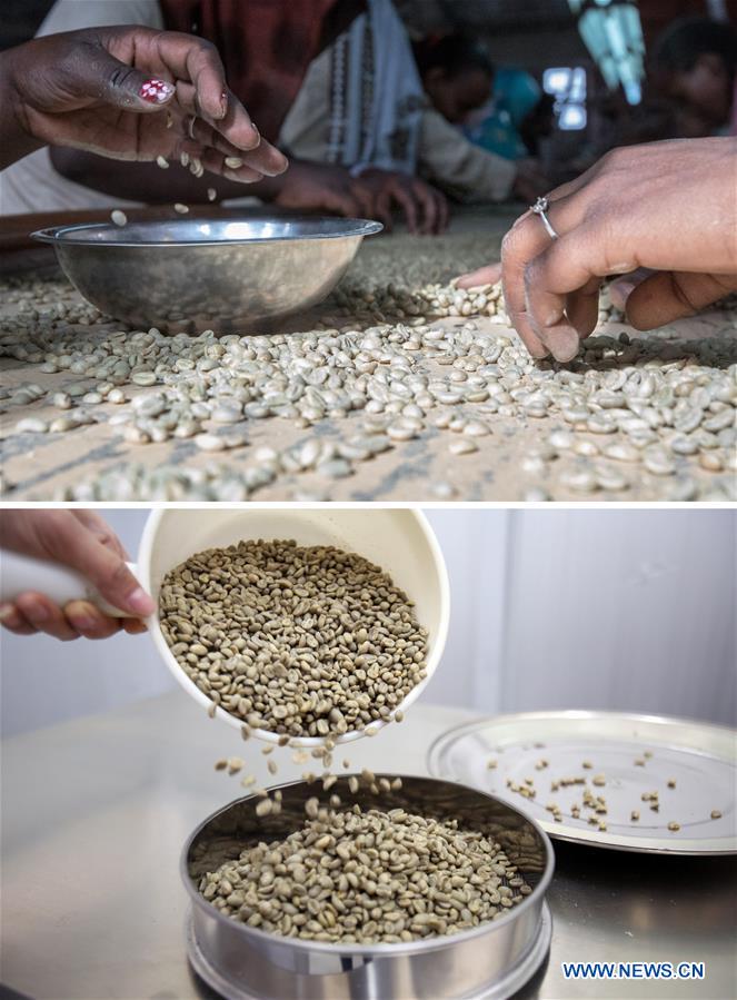 CHINA-ETHIOPIA-COFFEE-IMPORT-MARKET