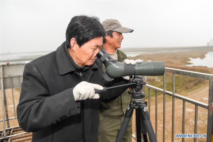 CHINA-ANHUI-MIGRANT BIRD-PROTECTOR (CN)