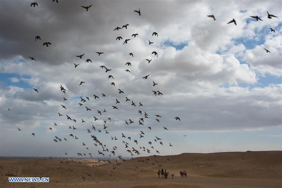 EGYPT-GIZA-PYRAMIDS-SPHINX-TOURISM