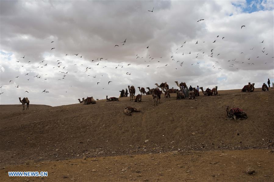 EGYPT-GIZA-PYRAMIDS-SPHINX-TOURISM