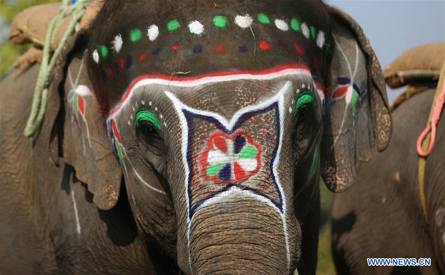 NEPAL-CHITWAN-ELEPHANT FESTIVAL-BEAUTY CONTEST