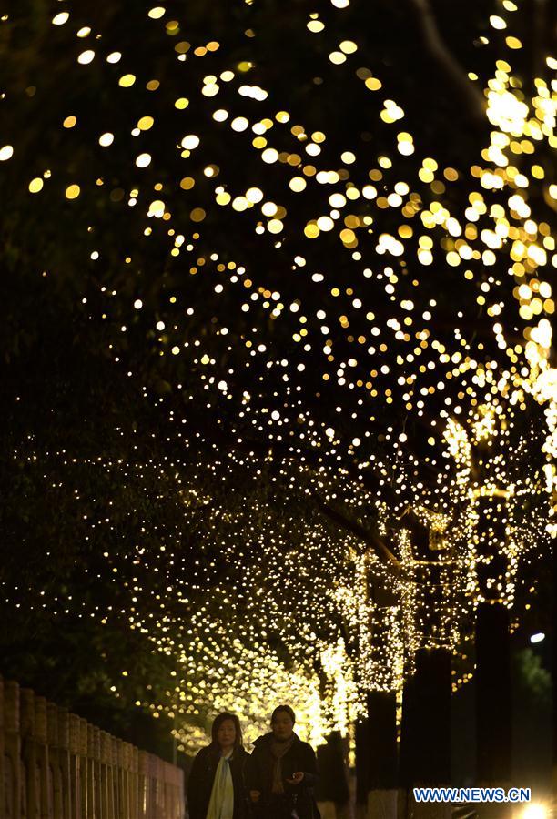 #CHINA-HUBEI-ENSHI-LIGHTS-NEW YEAR (CN)