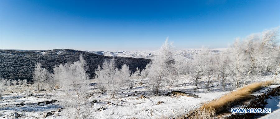 CHINA-INNER MONGOLIA-SNOW SCENERY (CN)