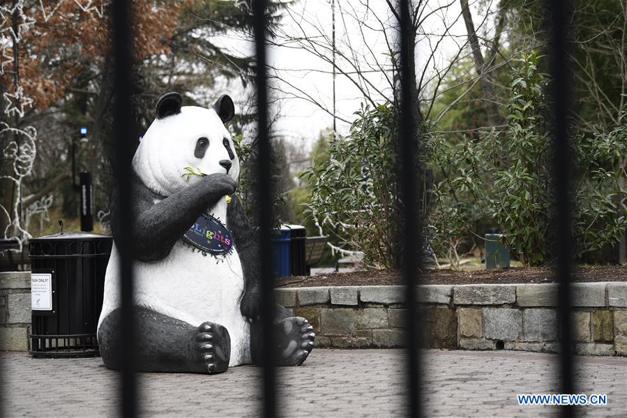 U.S.-WASHINGTON D.C.-NATIONAL ZOO-PANDA CAM-SHUTDOWN