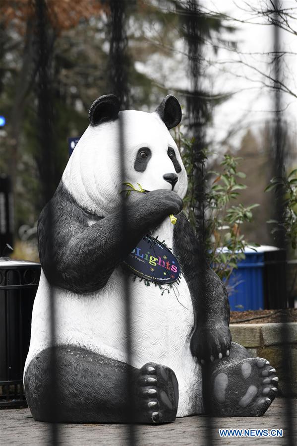 Americans outraged as National Zoo's panda cam goes dark amid gov't  shutdown - Xinhua 