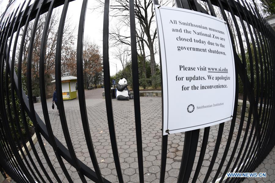 Americans outraged as National Zoo's panda cam goes dark amid gov't