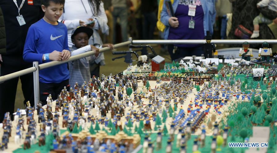 U.S.-LOS ANGELES-LEGO CONVENTION