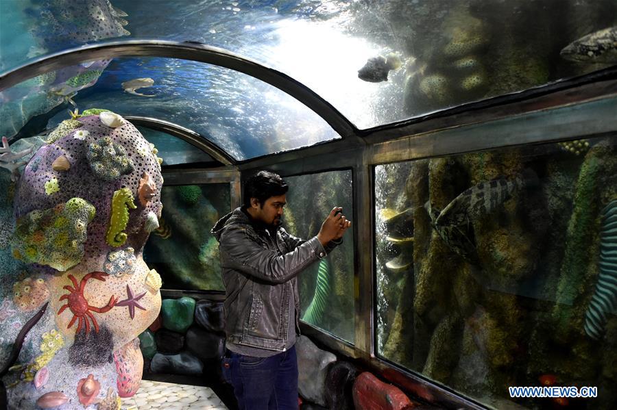 BANGLADESH-COX'S BAZAR-FISH-AQUARIUM