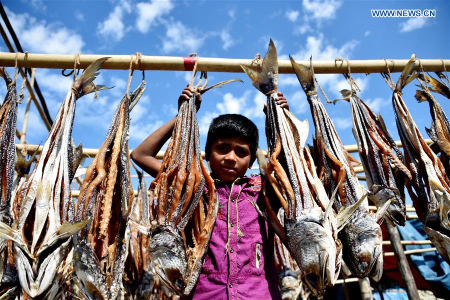 XINHUA PHOTOS OF THE DAY