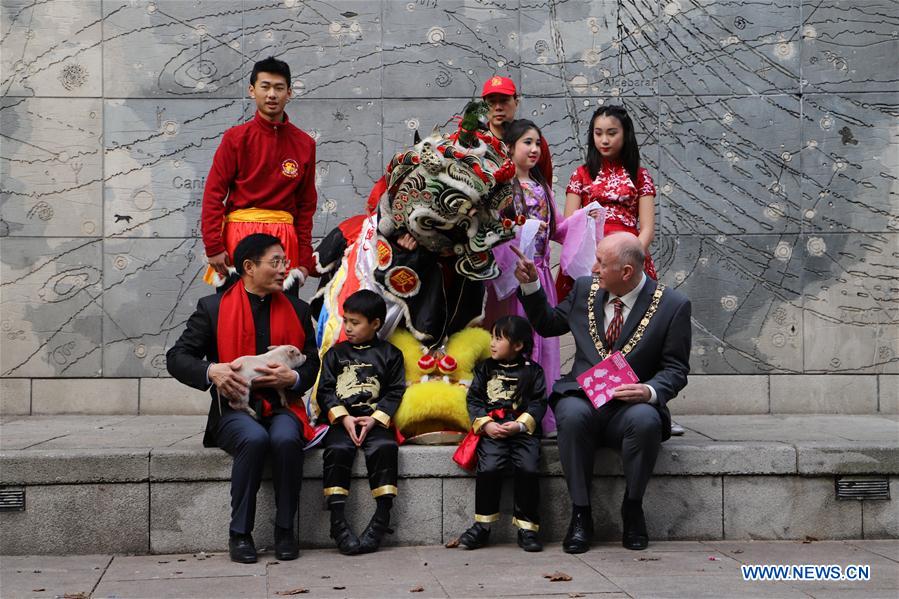 Dublin to hold largest ever Chinese New Year Festival Xinhua