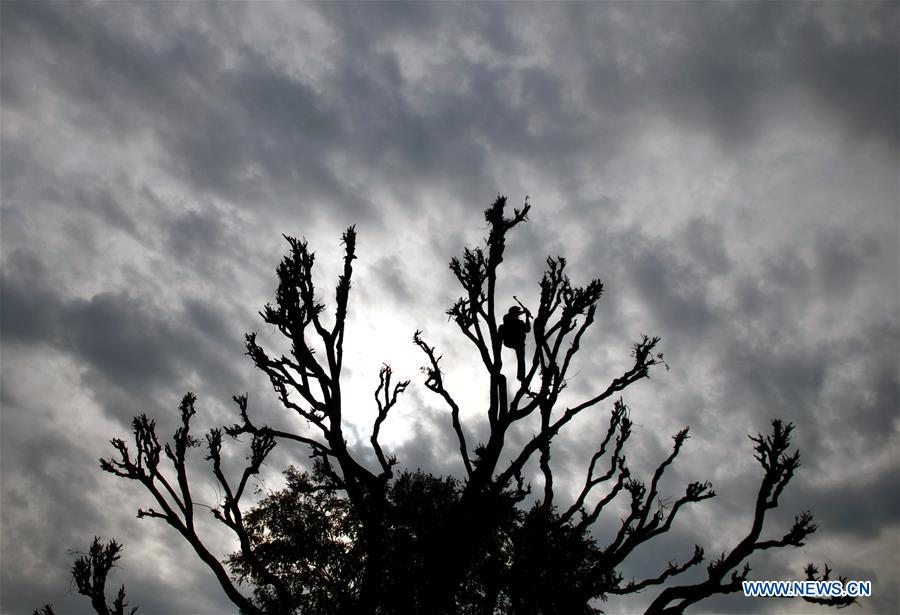 XINHUA PHOTOS OF THE DAY