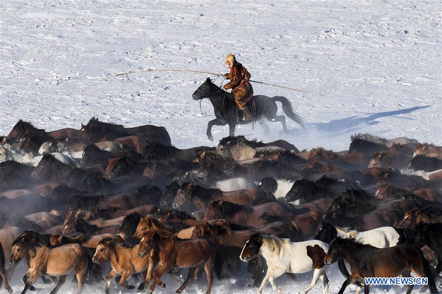 CHINA-INNER MONGOLIA-HORSE TAMING (CN)