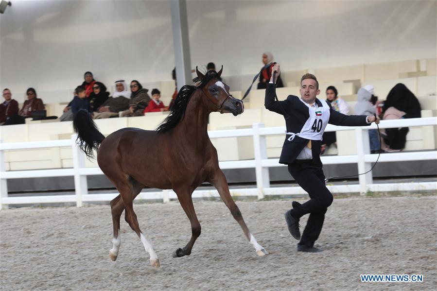 KUWAIT-MUBARAK AL-KABEER-ARABIAN HORSE BREEDERS SHOW