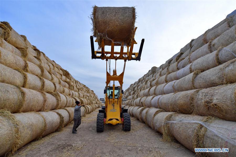 XINHUA PHOTOS OF THE DAY