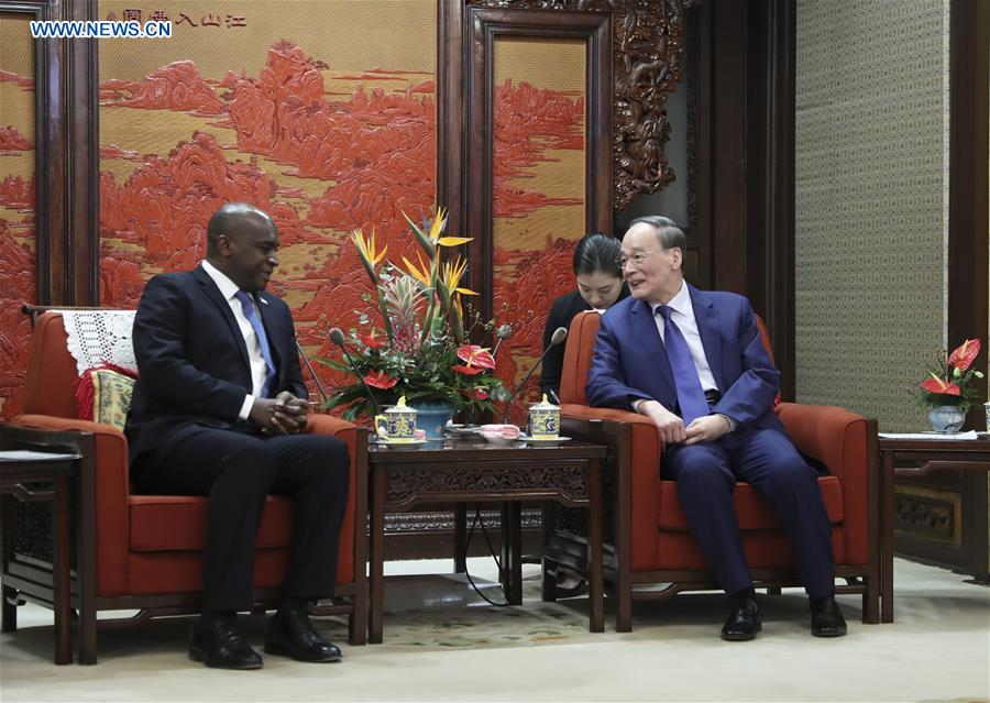 CHINA-BEIJING-WANG QISHAN-SIERRA LEONE FM-MEETING (CN)