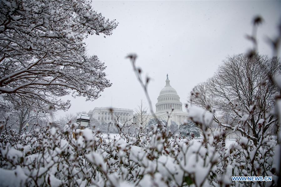U.S.-WASHINGTON.D.C.-SNOW