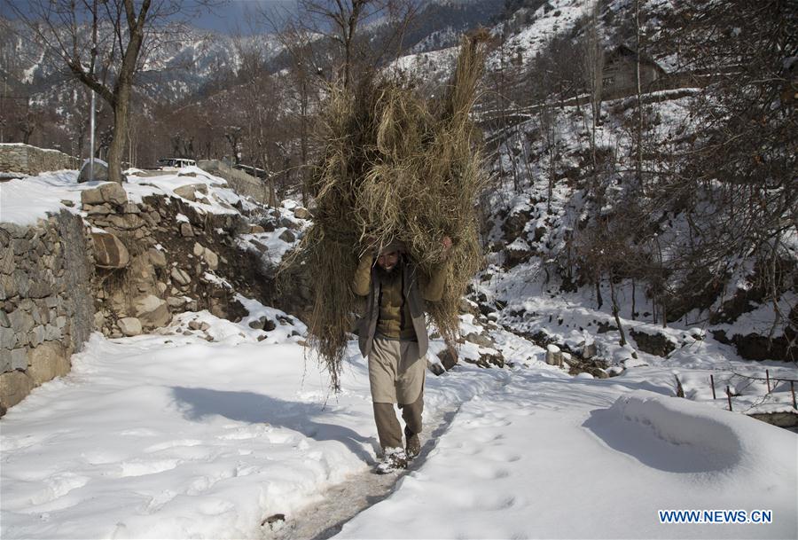 KASHMIR-SRINAGAR-WINTER-DAILY LIFE