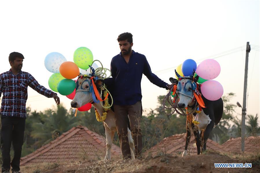 INDIA-BANGALORE-FESTIVAL-CELEBRATION