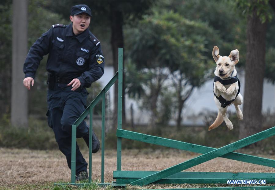 CHINA-HUBEI-WUHAN-POLICE DOG-TRAINING (CN) 