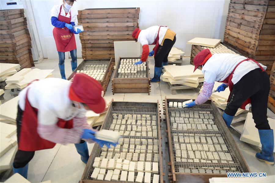 CHINA-YUNNAN-CHUXIONG-FERMENTED BEAN CURDS (CN)