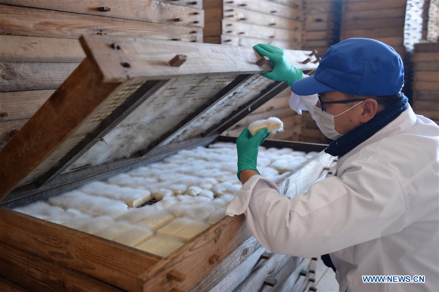 CHINA-YUNNAN-CHUXIONG-FERMENTED BEAN CURDS (CN)