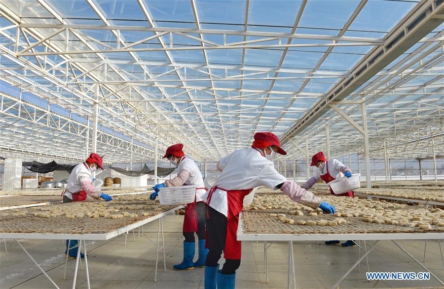 CHINA-YUNNAN-CHUXIONG-FERMENTED BEAN CURDS (CN)