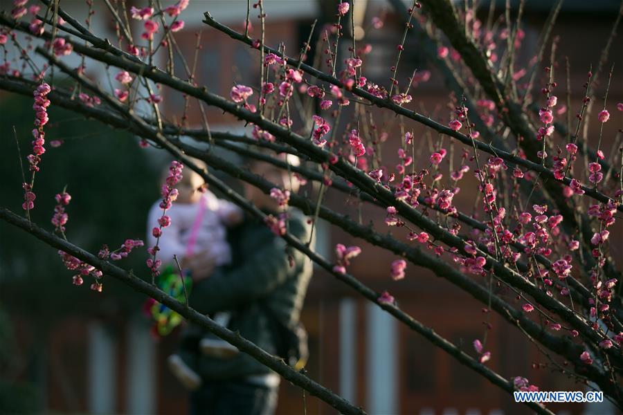 #CHINA-WINTER-FLOWERS (CN)
