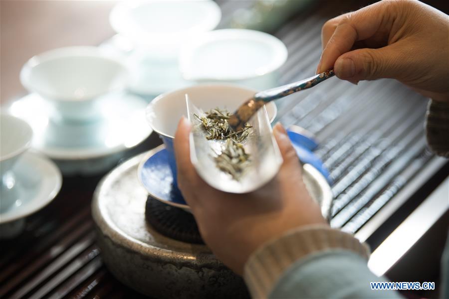 CHINA-ZHEJIANG-ANJI-WINTERSWEET TEA (CN)