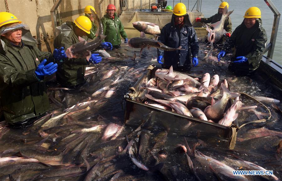 #CHINA-ANHUI-FISHING (CN)