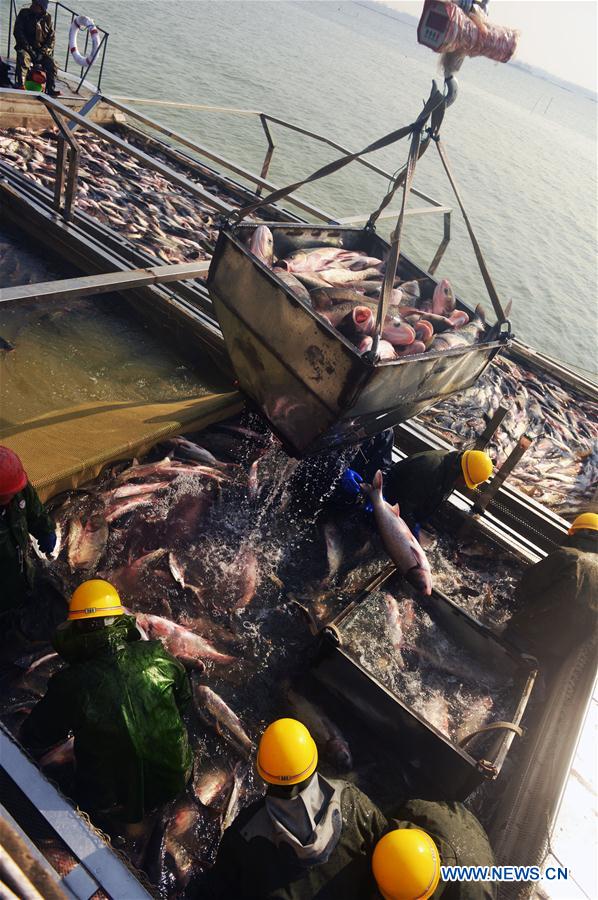 #CHINA-ANHUI-FISHING (CN)