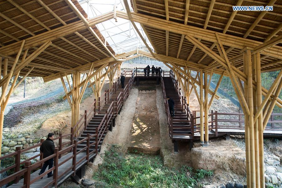 CHINA-ZHEJIANG-SHANGYU-CELADON (CN)