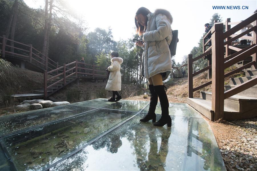 CHINA-ZHEJIANG-SHANGYU-CELADON (CN)