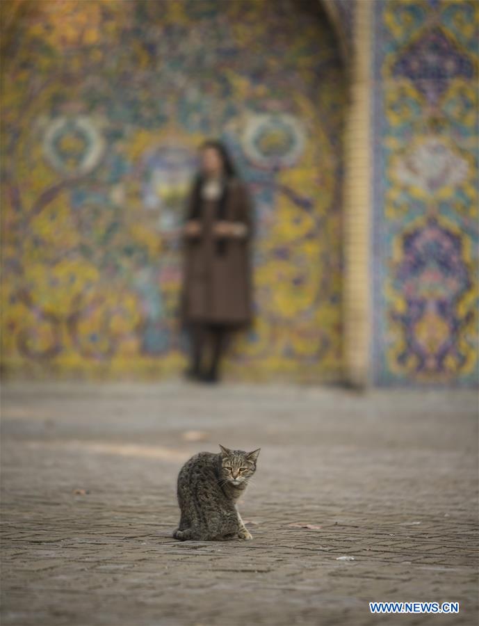 IRAN-TEHRAN-GOLESTAN PALACE