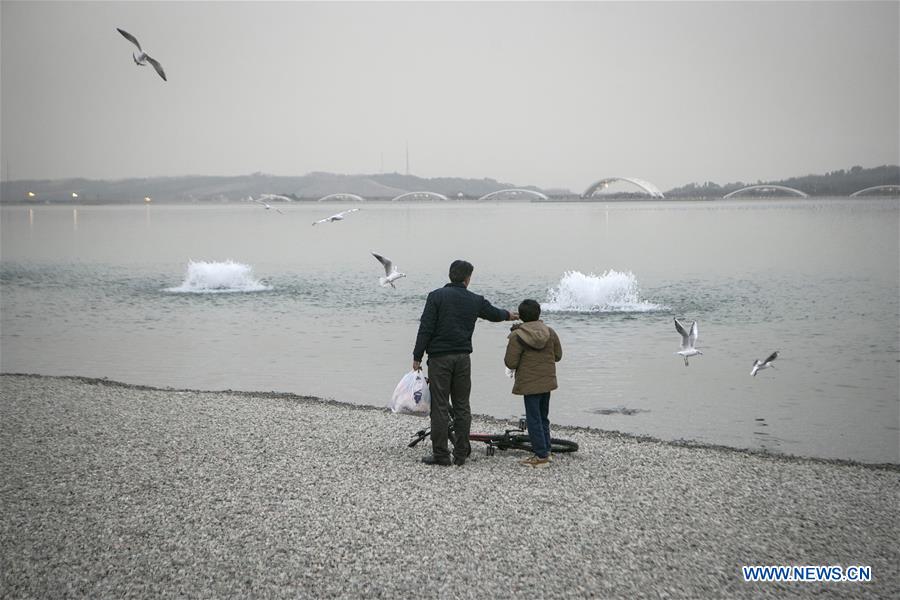 IRAN-TEHRAN-CHITGAR LAKE-LIFE