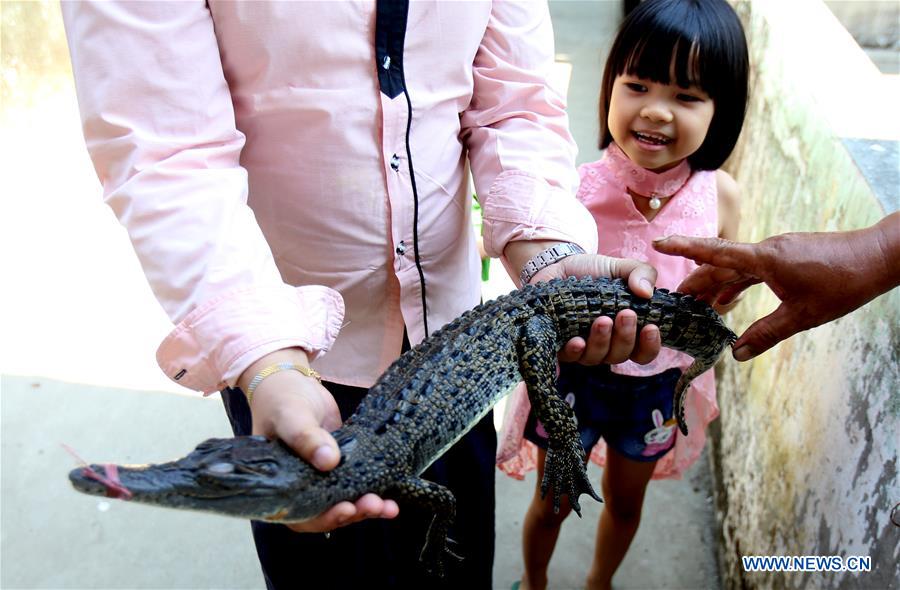 MYANMAR-YANGON-CROCODILE FARM