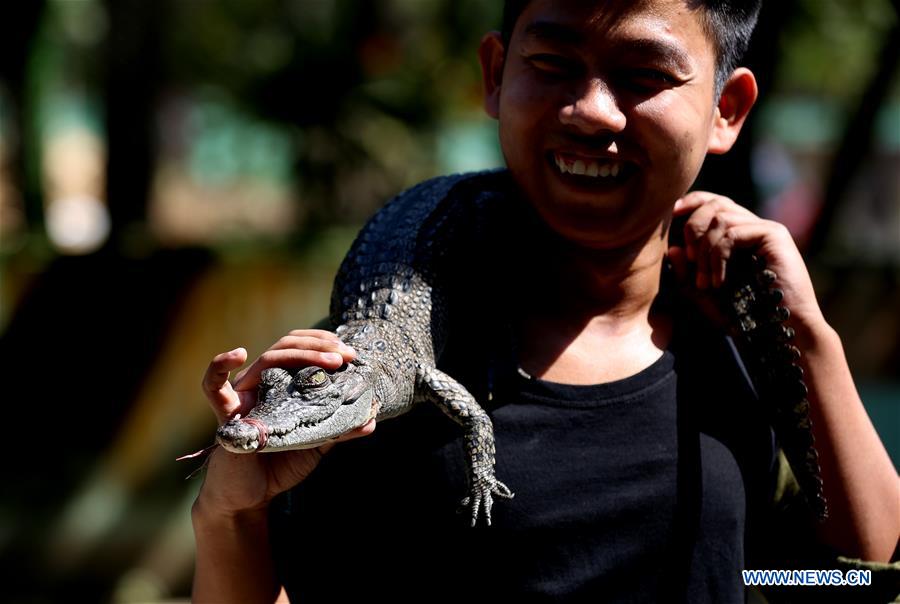 MYANMAR-YANGON-CROCODILE FARM