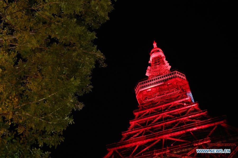 JAPAN-TOKYO TOWER-CHINESE NEW YEAR-CELEBRATION